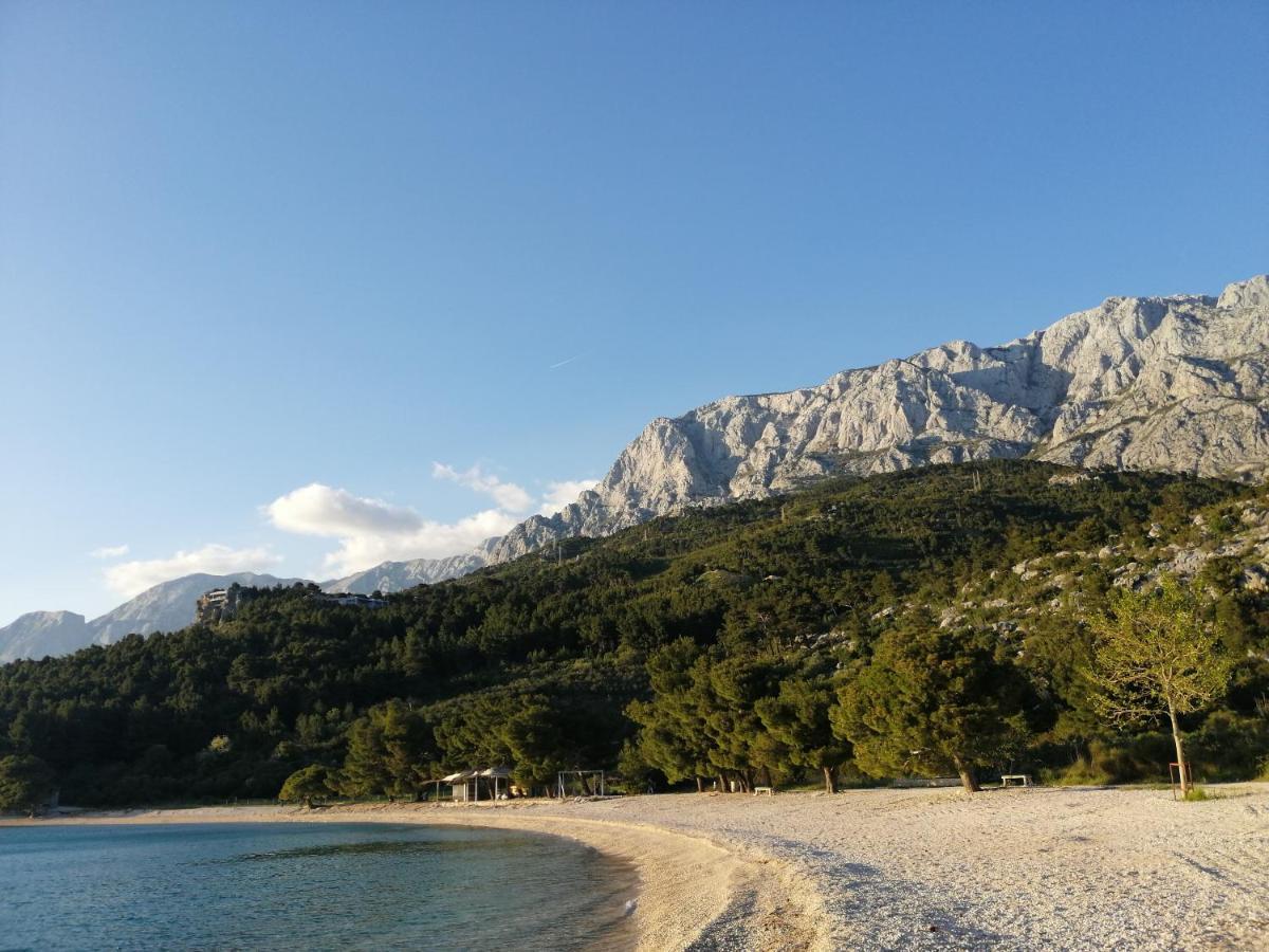 Rita Makarska